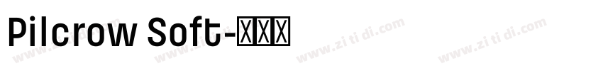 Pilcrow Soft字体转换
